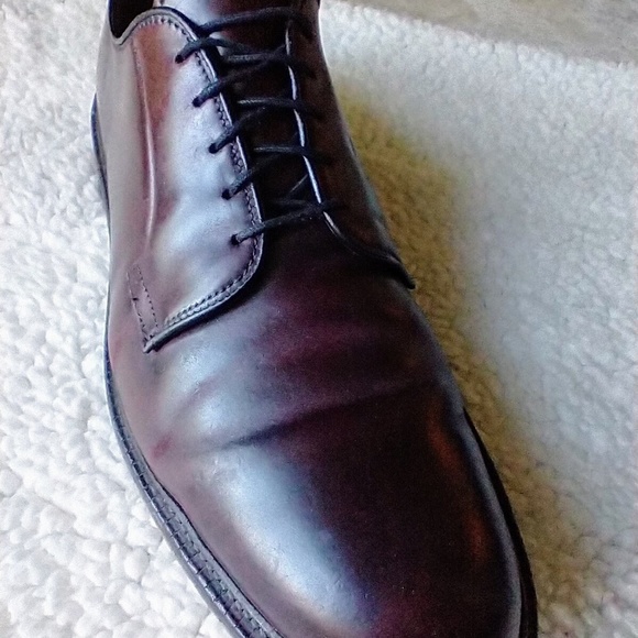 Allen Edmonds Other - Allen Edmonds Leeds Shell Cordovan Derby Shoe